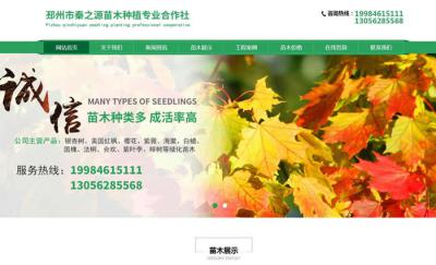 ����������֮Դ��ľ��ֲרҵ�����İ�ȫ������!